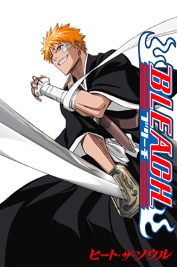 Bleach - Heat the Soul