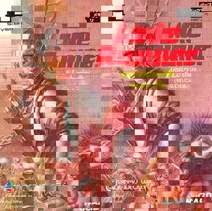 Lode Runner - Lost Labyrinth 