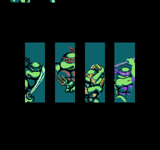 Teenage Mutant Hero Turtles