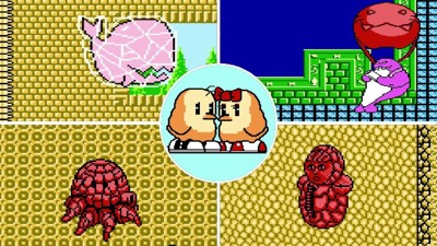 Kiwi Kraze-A Bird-Brained Adventure!