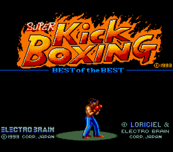 Super Kick Boxing