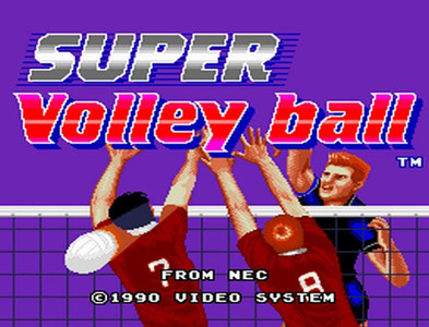 Super Volley Ball