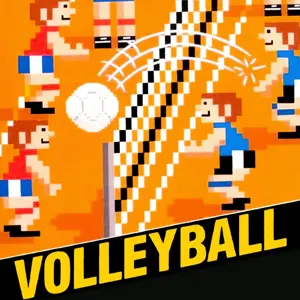 Volleyball