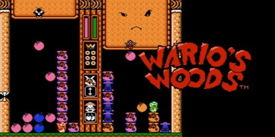 Wario's Woods