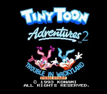 Tiny Toon Adventures 2