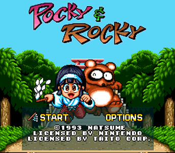 Pocky & Rocky 1