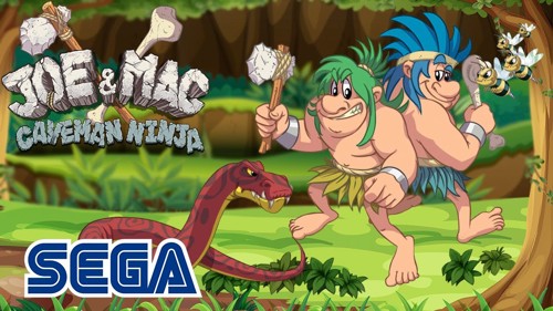 Joe and Mac Caveman Ninja