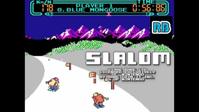 Slalom