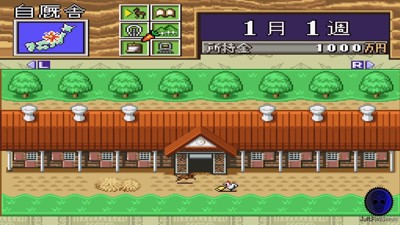 Thoroughbred Breeder 3