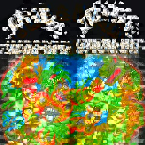 Joe & Mac Caveman Ninja