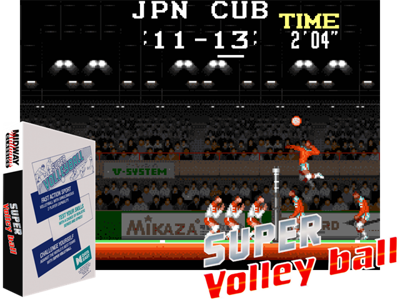 Super Volleyball