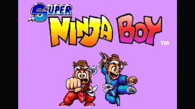 Super Ninja Boy