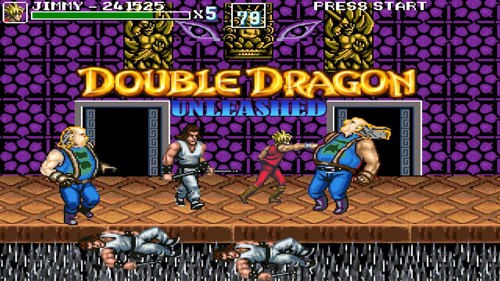 Double Dragon Unleashed