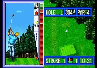 Top Player's Golf 