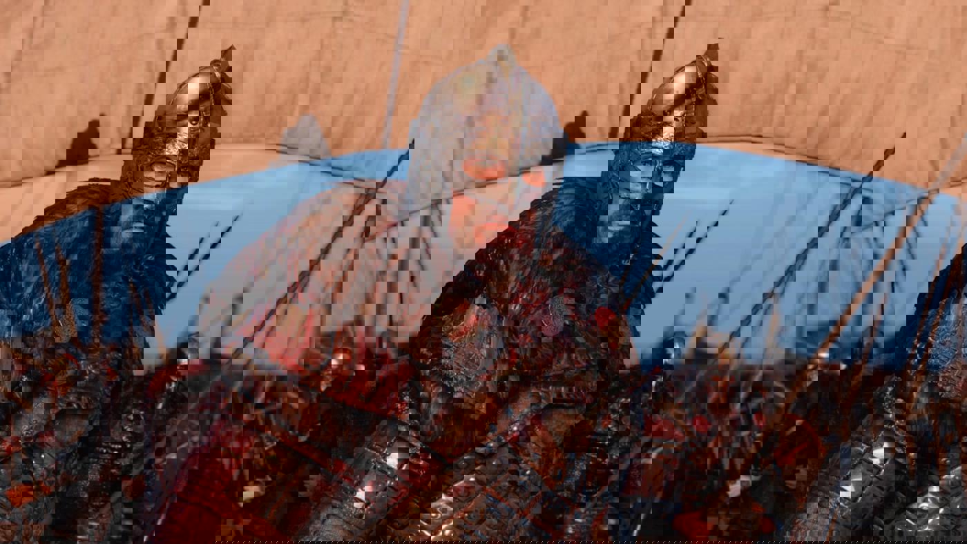 Tìm lại cảm giác Black Flag: Bannerlord và bản mở rộng hải chiến bất ngờ