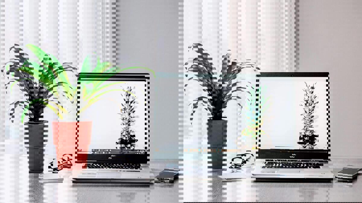 Cần Microsoft Office? Giấy phép 2019 đang giảm còn $20 nhân Cyber Monday