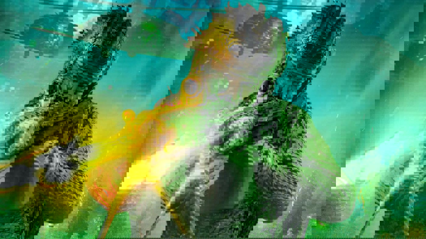 Broken Arrow công bố roadmap tham vọng, hướng tới hoàn thiện tiềm năng