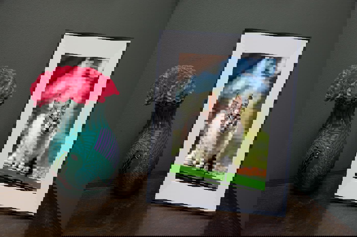 Aura Aspen giảm 30 USD dịp Black Friday — khung ảnh kỹ thuật số đáng tặng