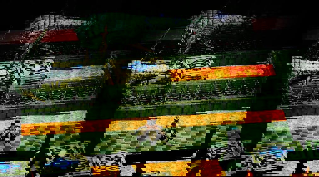 Hai spin-off của Baroque sắp phát hành chính thức tại phương Tây trên Switch