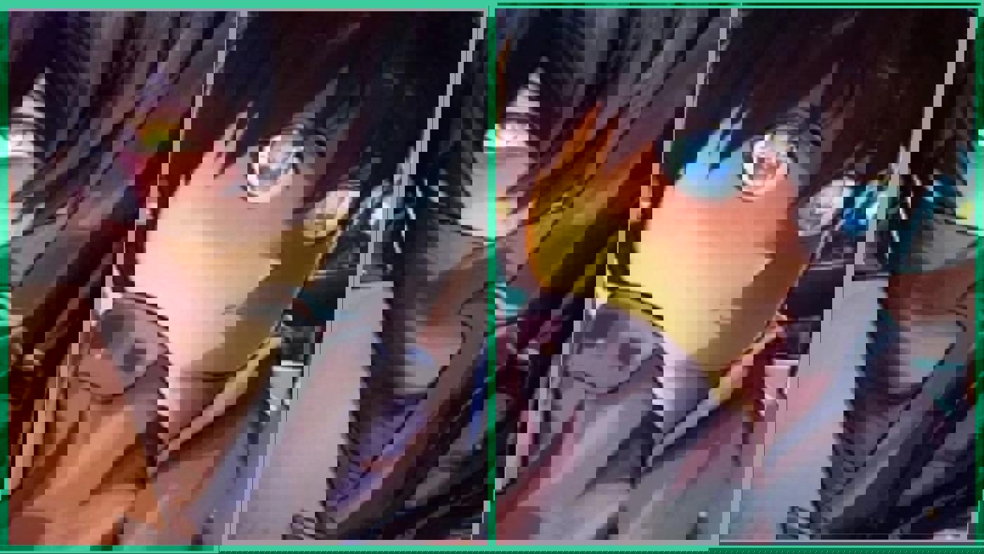 All The Forge Races – Tổng hợp hệ Chủng tộc, Nội tại và Độ hiếm