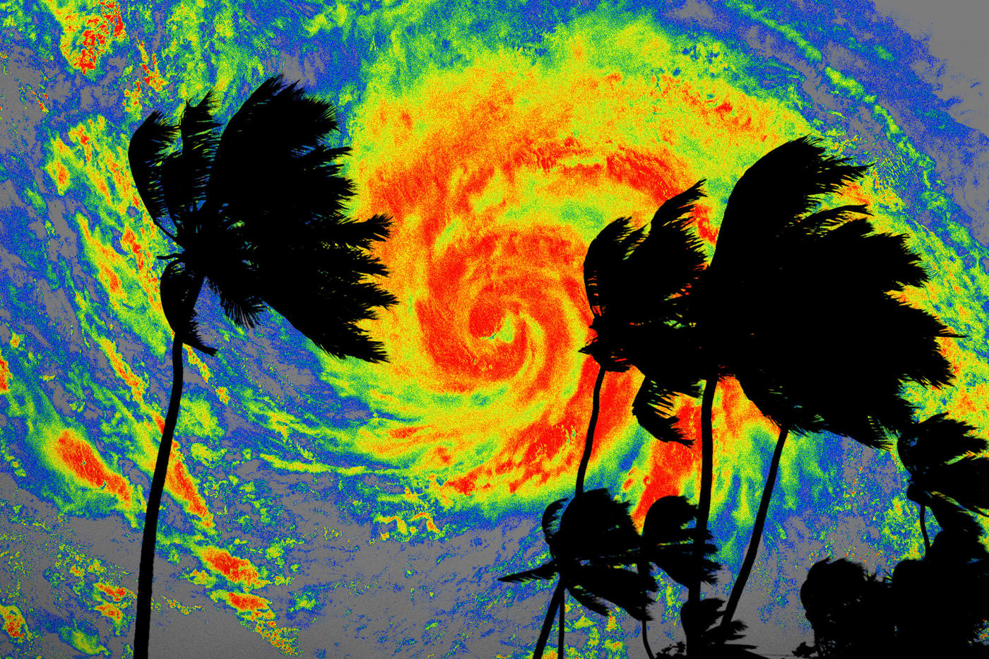 Mỹ tránh được đòn nặng trong mùa bão Đại Tây Dương vừa qua