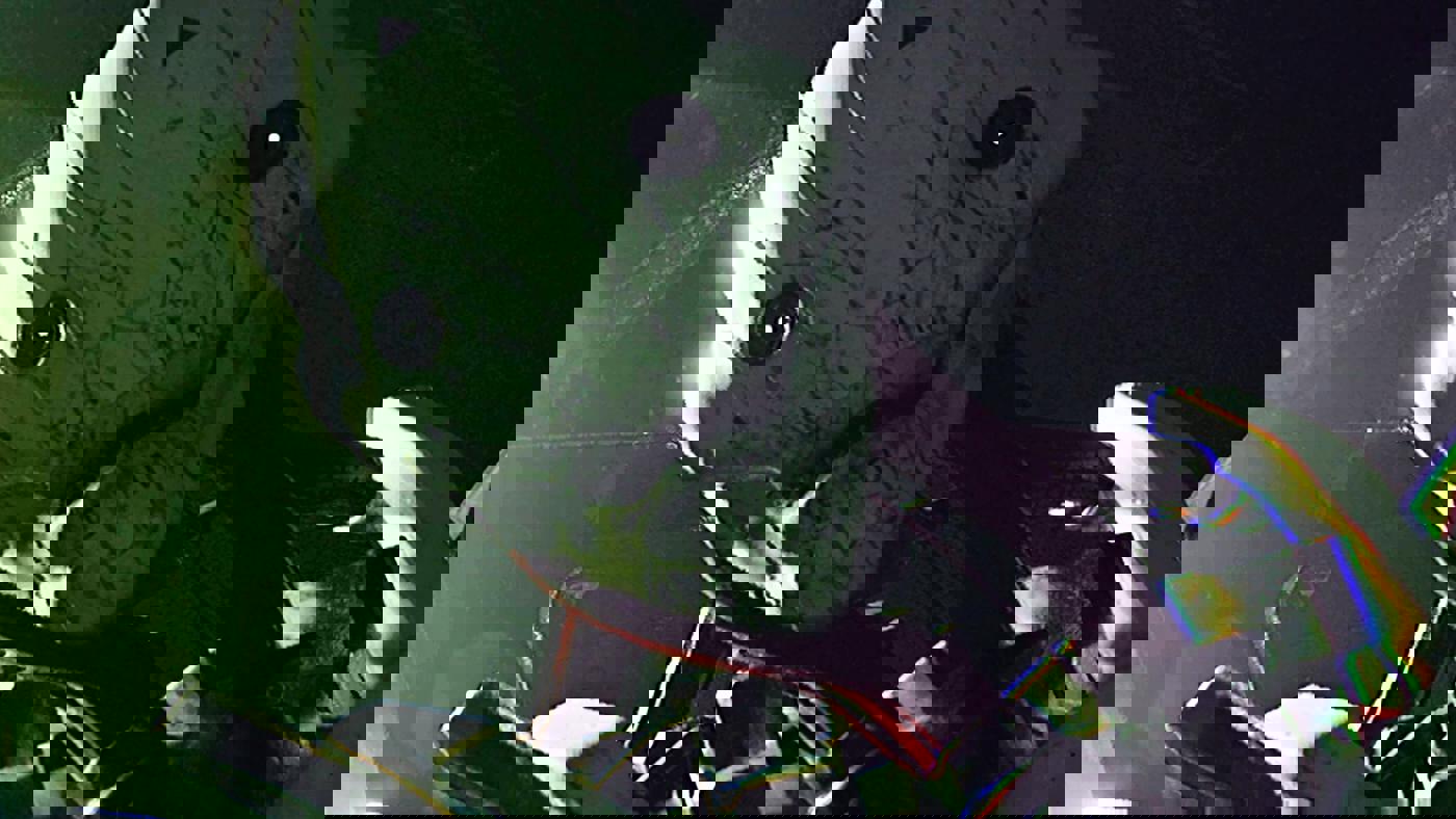 Routine — Người kế thừa SOMA mà tôi luôn chờ đợi