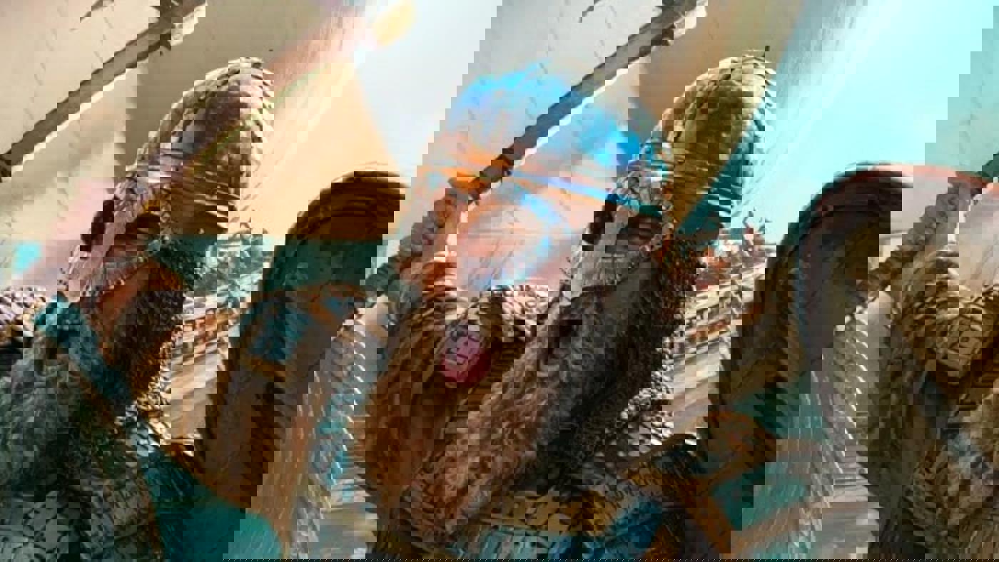 DLC đầu tiên của Mount & Blade II 'War Sails' bị chê đắt