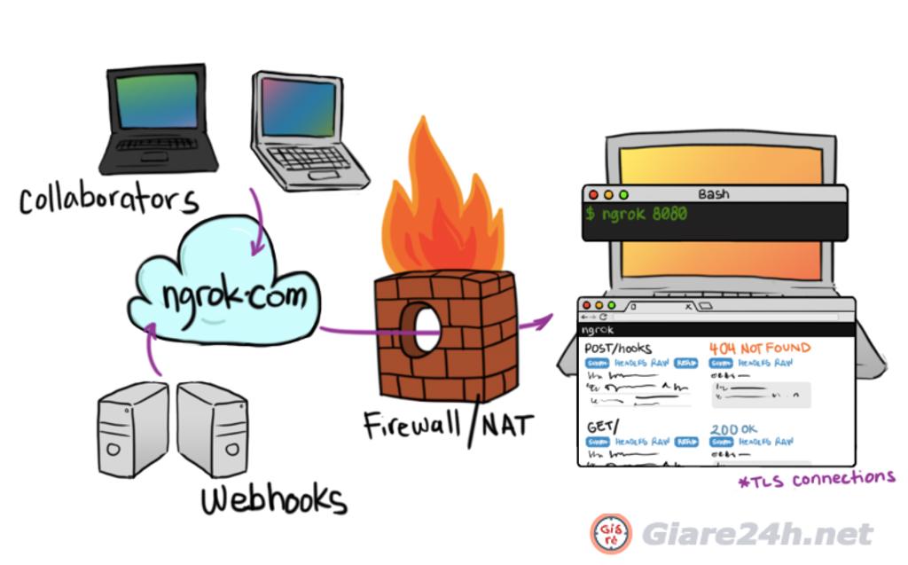 ngrok tunnel localhost to publish