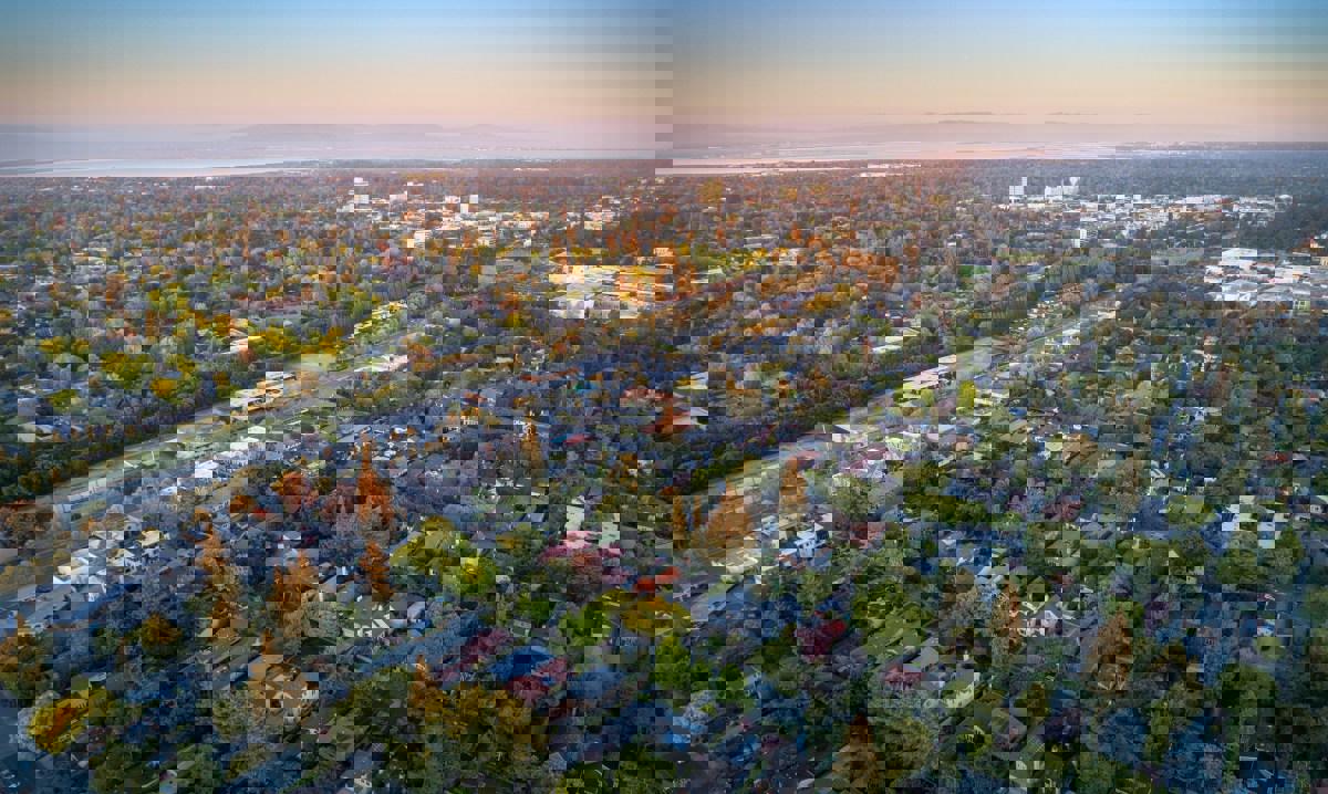 Tương lai sẽ được giải thích cho bạn ở Palo Alto