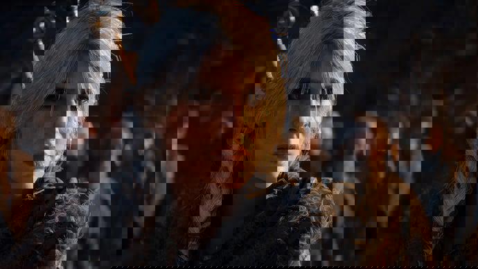 CD Projekt Red tin có thể ra trọn bộ ba Witcher mới trong sáu năm