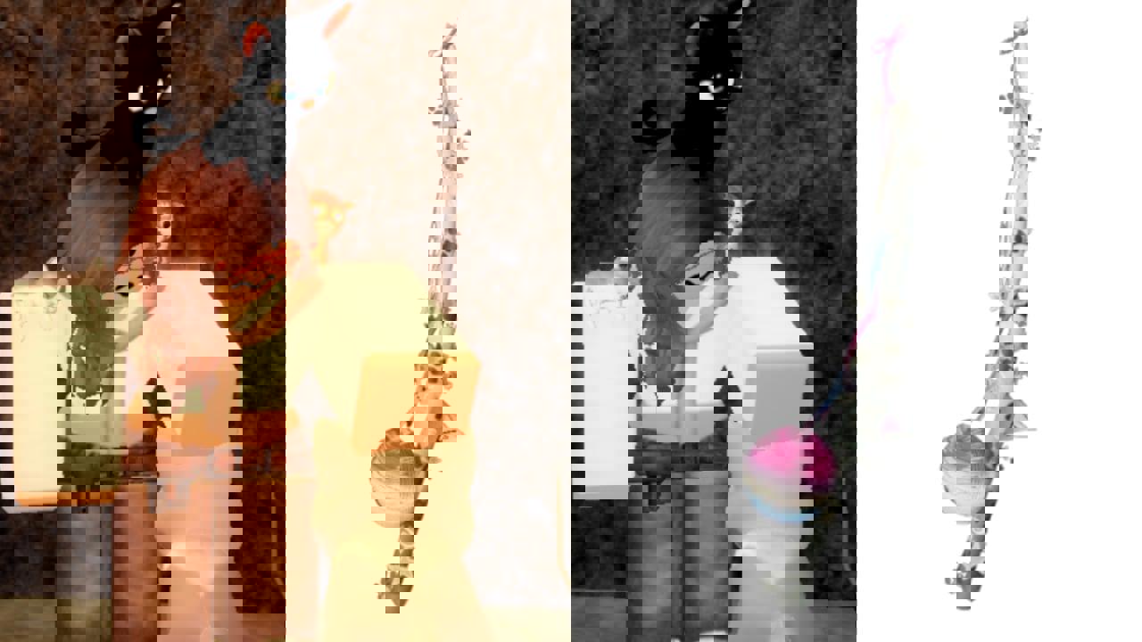 Fisch Crazy Cat Lady Riddles — Đáp án và cách bắt cá cần thiết