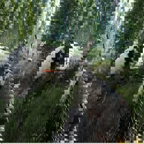 Dùng Rus Post Car Key ở đâu trong Escape from Tarkov