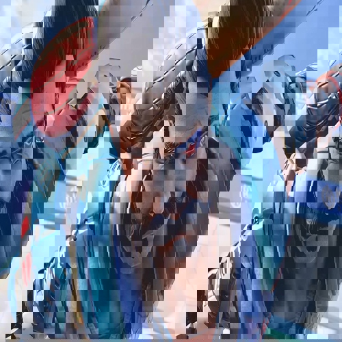 Apex Legends: SMG bắn tên lửa mới — quá mạnh nhưng đã tay