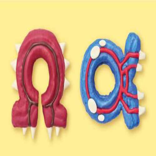 Donut ‘Mega Dimension’ ngoài đời thực có thể hé lộ Pokemon huyền thoại trở lại