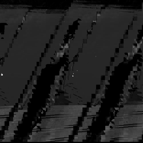 Short Creepy Stories – Ominous Steamboat: Walkthrough chi tiết