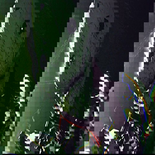 Routine — Người kế thừa SOMA mà tôi luôn chờ đợi