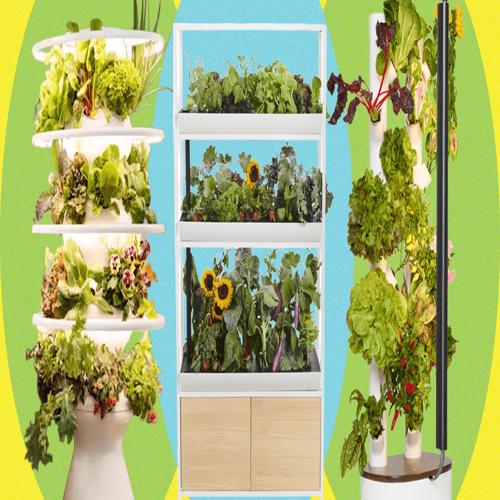 Best Indoor Garden Systems: Đánh giá sau một năm thử nghiệm (2026)