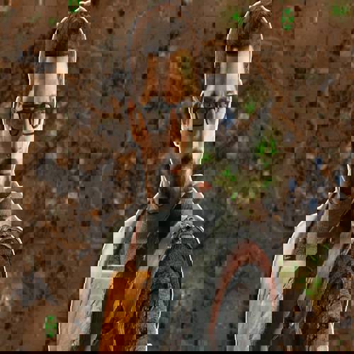 Top 10 mod hay nhất năm: từ Command & Conquer đến Half‑Life