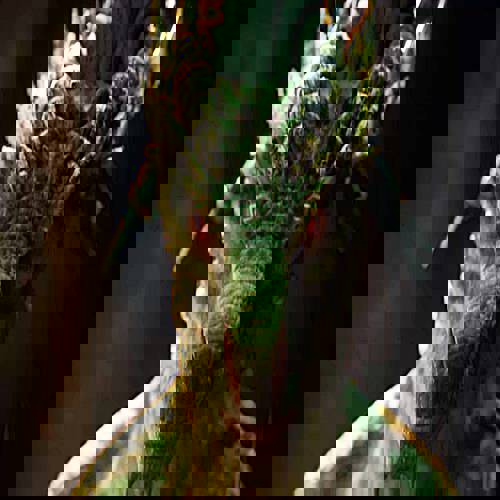 Dark Urge đổi mưu mô lấy chém giết trong ARPG kiểu Diablo