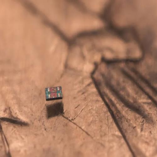 Các nhà nghiên cứu chế tạo robot tự hành nhỏ hơn hạt muối