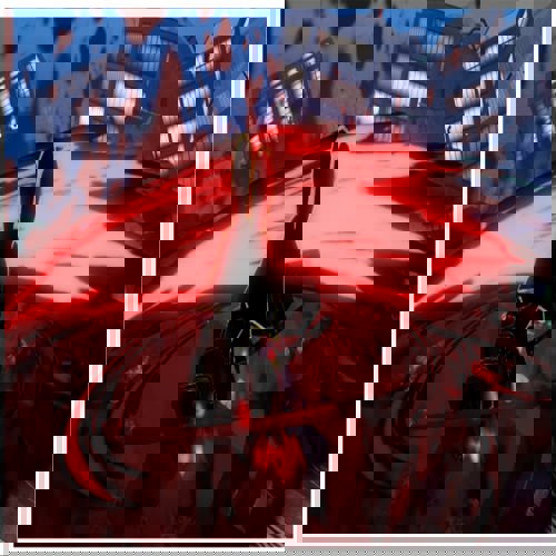 Half-Demon trong Rogue Piece: Liệu có phù hợp với phong cách của bạn?