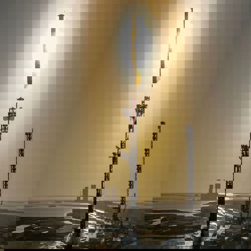 OSHA điều tra tai nạn cần cẩu mới tại Starbase của SpaceX