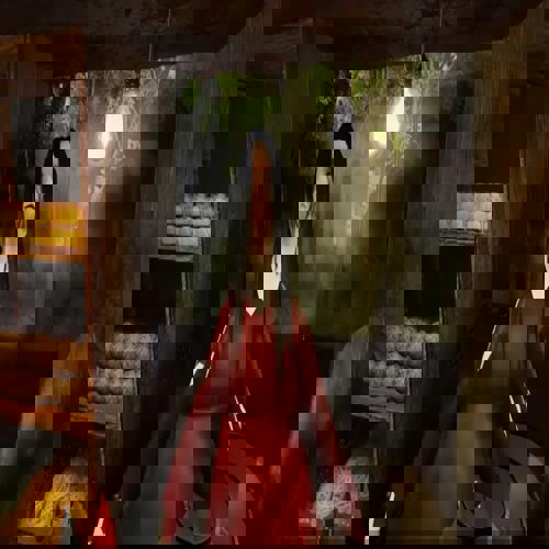 Bakso Malang Anomalies Guide – Toàn tập cách nhận diện