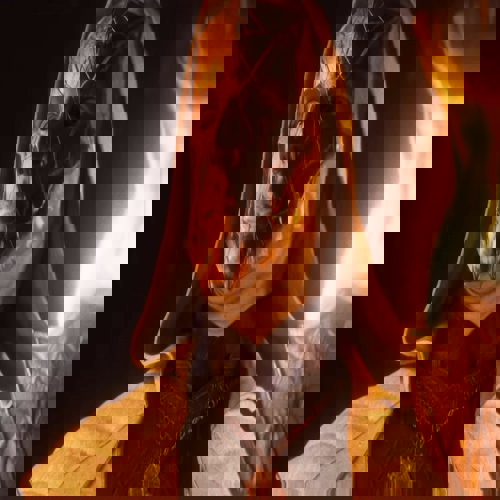 Larian muốn làm Divinity nhanh hơn Baldur's Gate 3 nhưng vẫn đổi mới