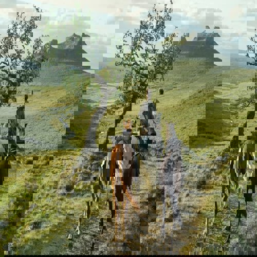 A Knight of the Seven Kingdoms: Diễn ra ở đâu trong Westeros?